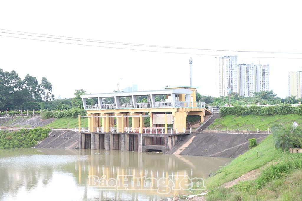 Thi công bờ bao vững chắc cho ruộng muối Lý Nhân